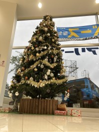 ✨クリスマスツリーが新しくなりました✨